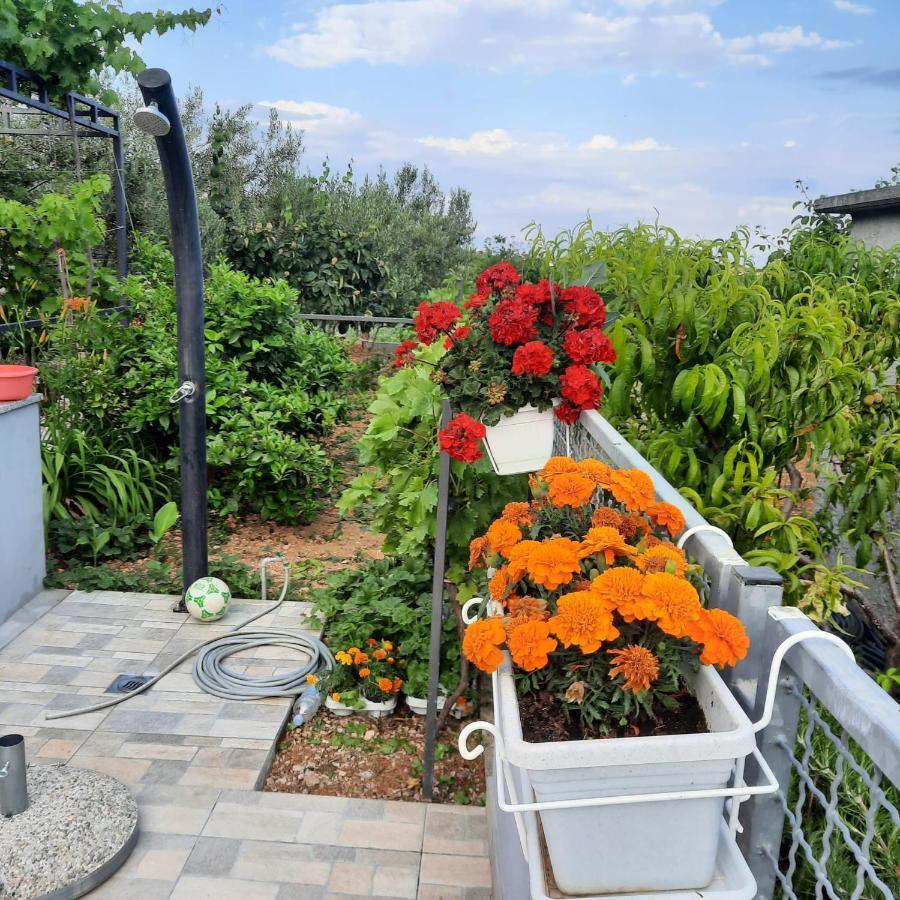 Studio Apartman Mare Τρογκίρ Εξωτερικό φωτογραφία
